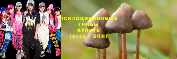 гашик Тихорецк
