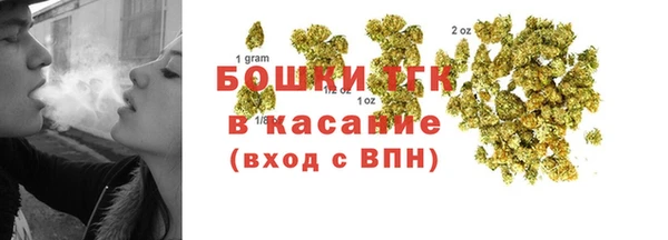 шишки Тобольск