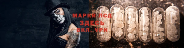 шишки Тобольск