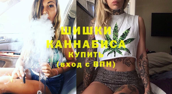 гашик Тихвин