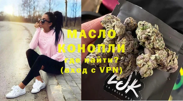 гашик Тихвин