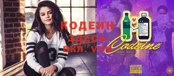 шишки Тобольск