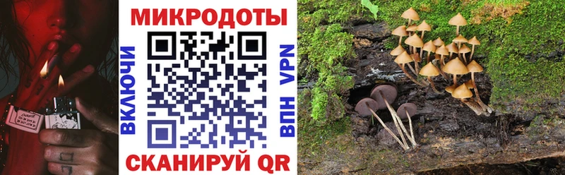 Галлюциногенные грибы ЛСД  где можно купить   Шебекино 
